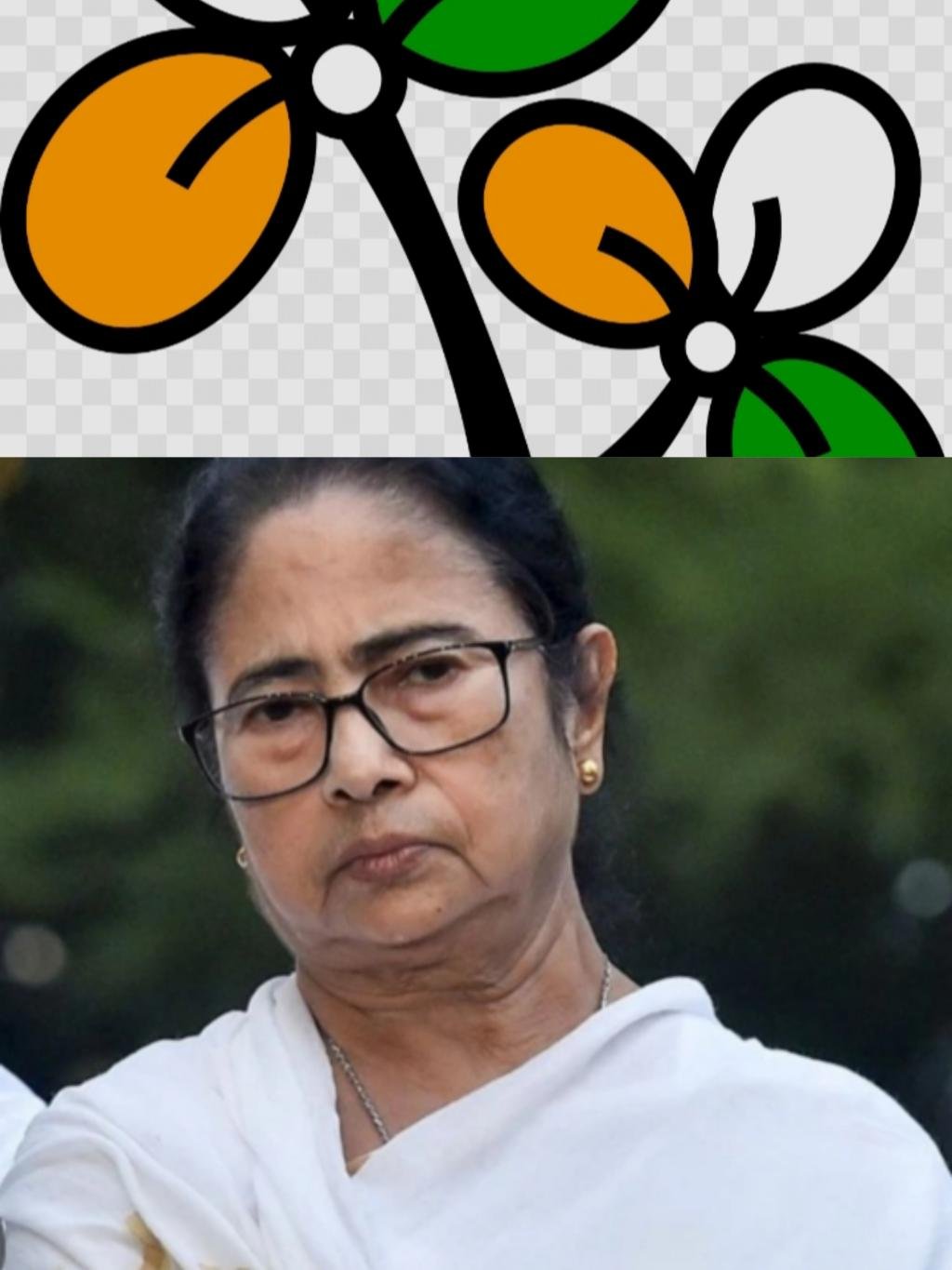 মোদী-শ্বাহৰ ধুমুহাত তচনচ তৃণমূল-কংগ্ৰেছ :