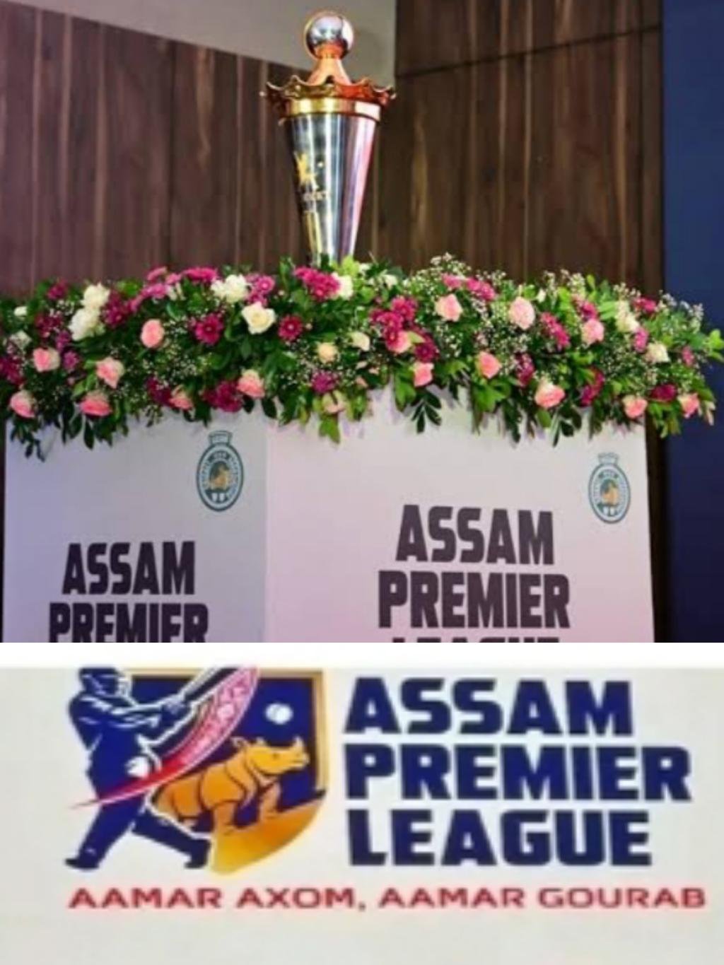 অসম প্ৰিমিয়াৰ লীগ’ (T-20 Cricket APL)